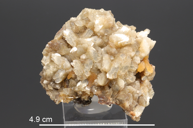 Heulandite (NS/Cape Split)